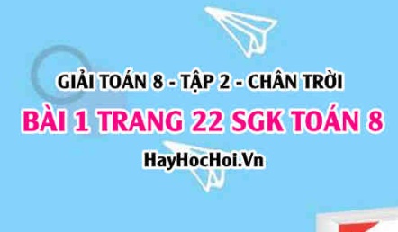 Bài 1 trang 22 Toán 8 Tập 2 Chân trời sáng tạo